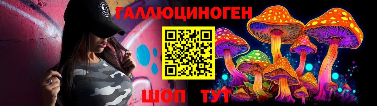 Галлюциногенные грибы Psilocybe Дедовск